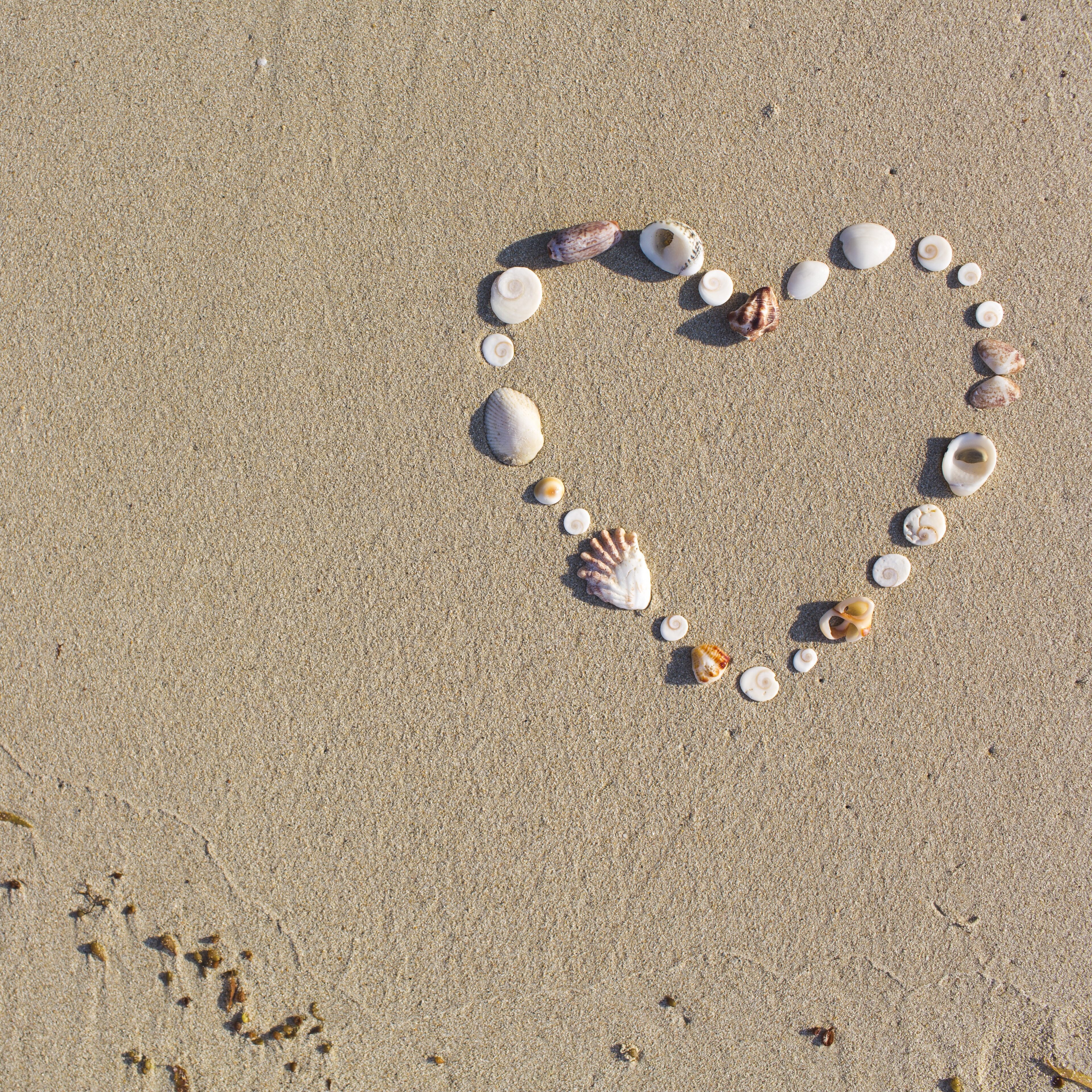 Heart shaped from shells lies on a beach in the sand on Koh Samui